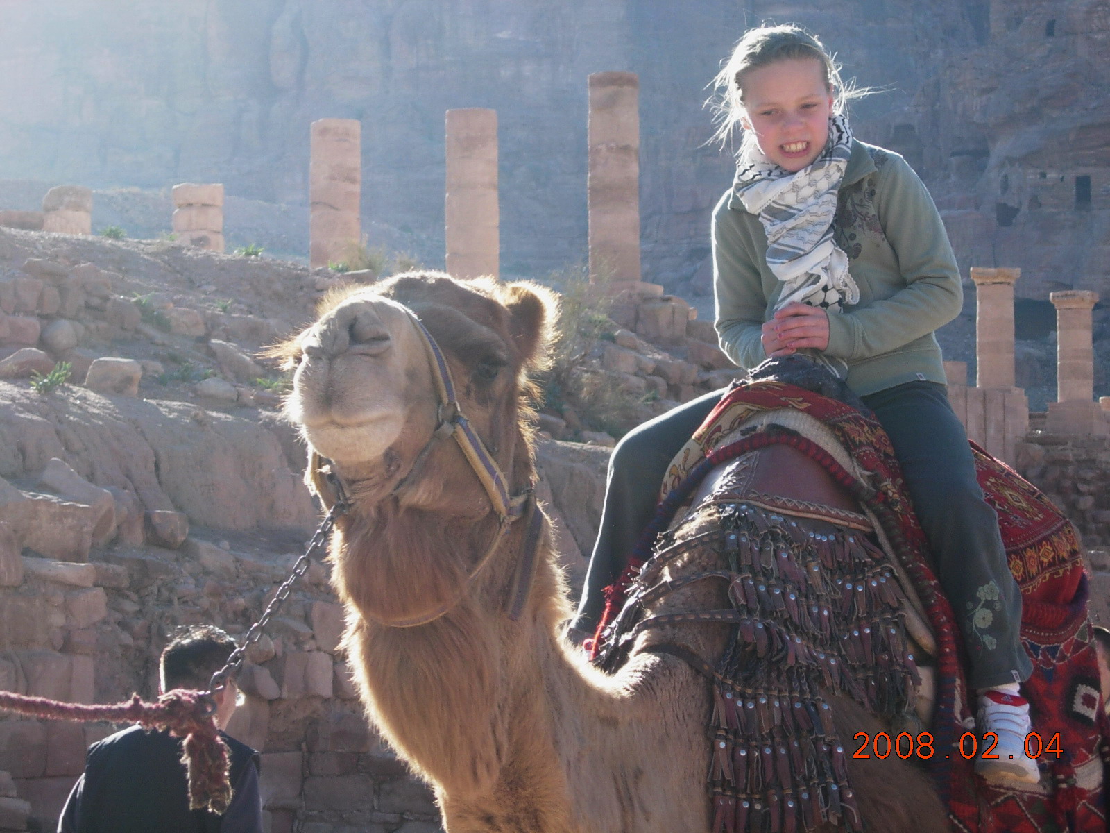 壁紙，骆驼，動物，女孩，下载，照片